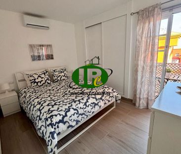 Moderner neu renovierter Bungalow mit 1 Schlafzimmer mieten in san ... - Photo 4