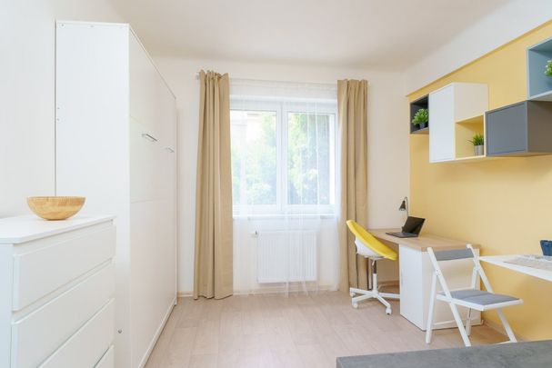 Zařízený byt 1+kk k pronájmu – lokalita poblíž metra Kačerov (linka C), Praha 4 - Fotografie 1
