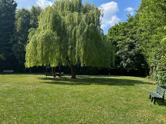 T3 Lambersart Secteur Lambersart - Photo 1