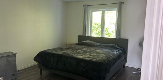 4 1/2 - Lévis - 985 $/mois - Photo 2
