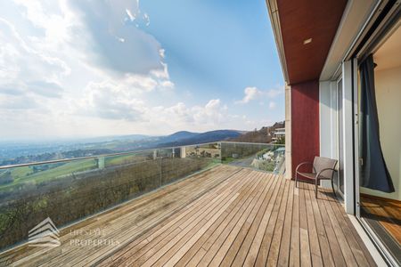 Einzigartiger Blick über Wien! Garconniere mit Terrasse am Kahlenberg - Photo 4