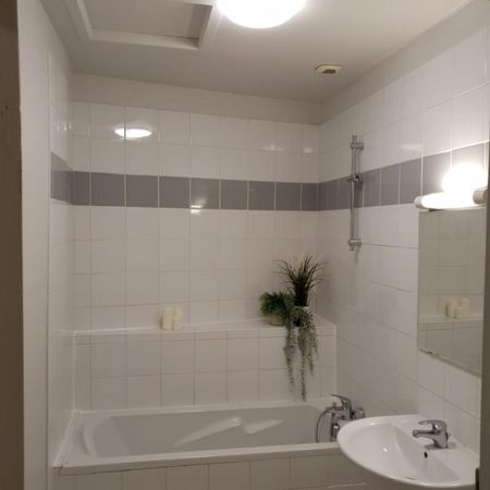 Location Appartement 1 pièce Meublé 51m² OULLINS 69600 - Photo 3