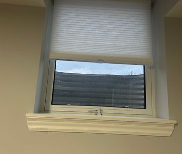 For Lease - 122 Clare Avenue Unit# Basement, Welland, Ontario - Photo 4