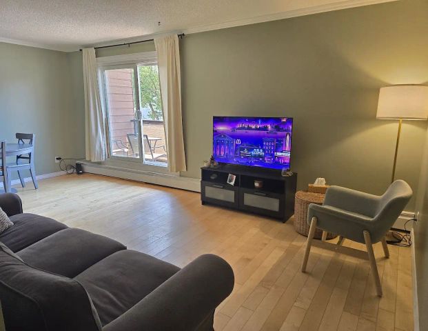 Garneau sunny 2BR Condo, walk to U of A, furnished, quiet, renovated — 2 Bedrooms Condo Unit - Photo 1