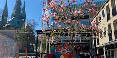 Ågatan, Linköping - Photo 3