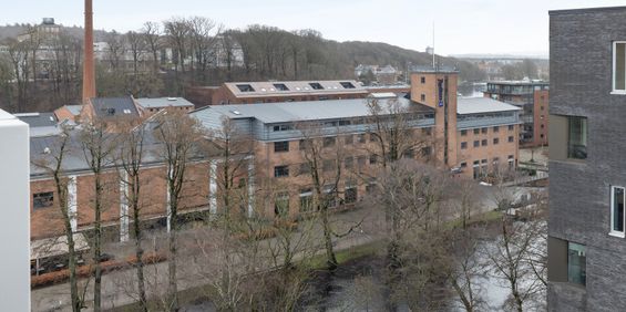 Svanemærkede lejeboliger i første række til vandet - Photo 3