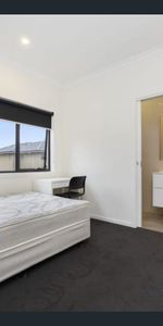 Furnished 1 Bedroom in Clayton - Photo 3