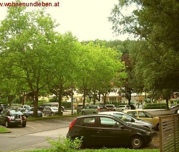 Toplage neben der Kepleruniversität - WG tauglich!! - Photo 6