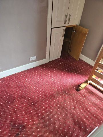 2 Bed Flat, West Newington Place, EH9 - Photo 4