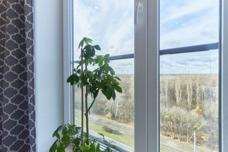 Bielany, 2 pokoje, 44 m², widok, Metro Młociny 44 m² - Фото 3