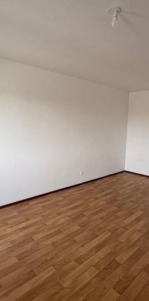 Location Appartement 1 pièce 31m² STRASBOURG 67200 - Photo 1