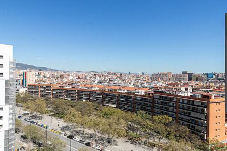 Carrer de Jerusalem, L'Hospitalet de Llobregat, Catalonia 08902 - Photo 2