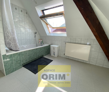 Location Appartement 2 pièces 57m² ST LOUIS 68300 - Photo 6