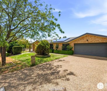 Spacious & Freshly Renovated - Photo 2