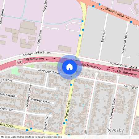 62 Queen Street, NSW 2212, Revesby