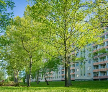 3-Raum-Wohnung mit Balkon und den Spielplatz im Wohnumfeld - Photo 4