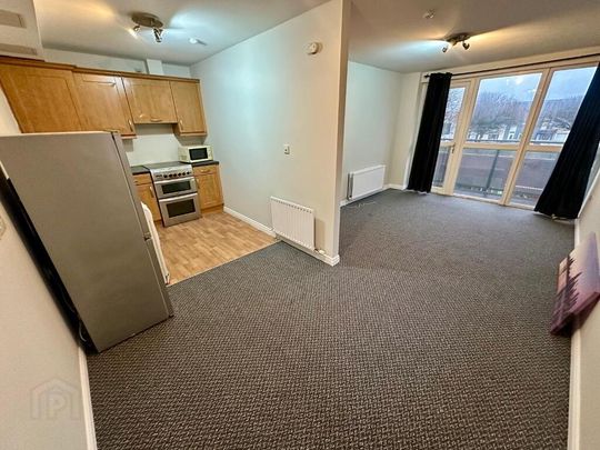 8e Horizon Buildings, Shore Road, Belfast, BT15 4HH - Photo 1