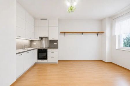 Pronájem bytu 2+kk Novosadský dvůr - Photo 3