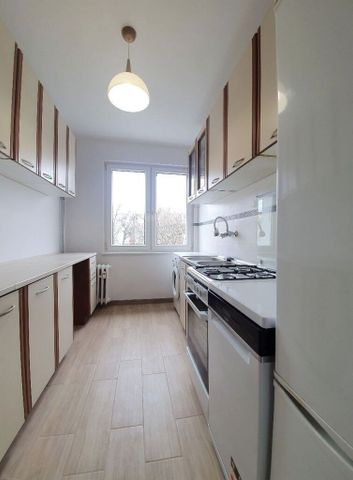 (Symbol 436134) MIESZKANIE na WYNAJEMSzczecin, Centrum 2 pokoje przechodnie niedaleko Galaxy - Photo 2