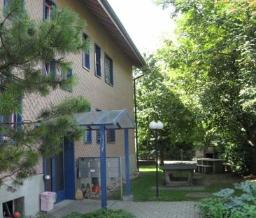 4.5 Zimmer Wohnung - Photo 3