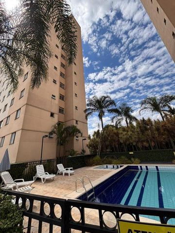 Imoveis - Em Rio Pequeno - Photo 3
