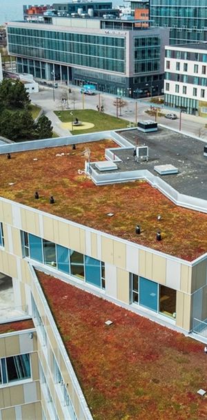 Skeppsgatan 7 - Photo 1