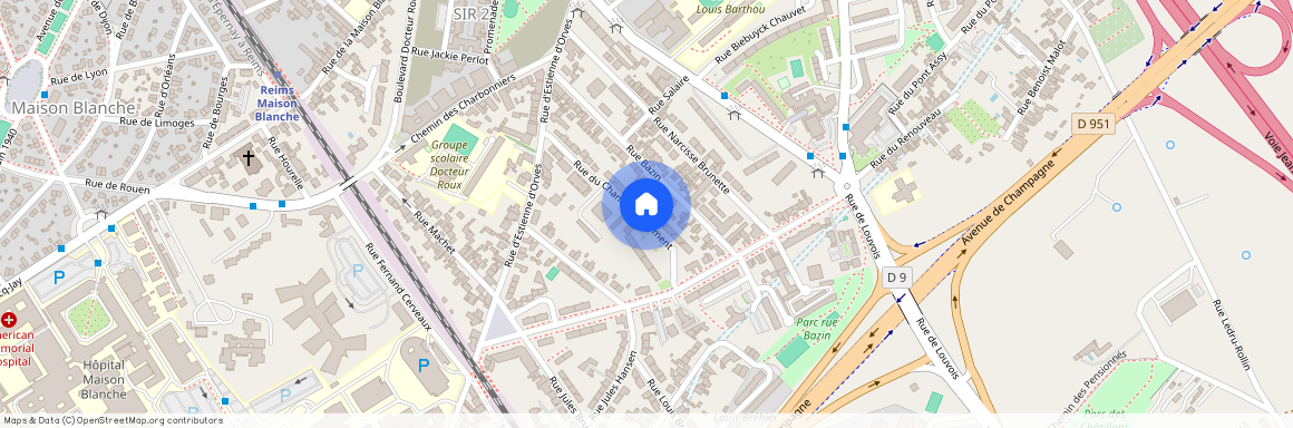 027 RUE CHANOINE LALLEMENT, 51100, Reims