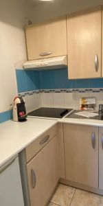 Location Appartement 1 pièce 20m² ST GERMAIN LES ARPAJON 91180 - Photo 3