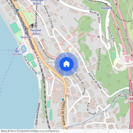 Avenue de Collonge 21, 1820 Territet