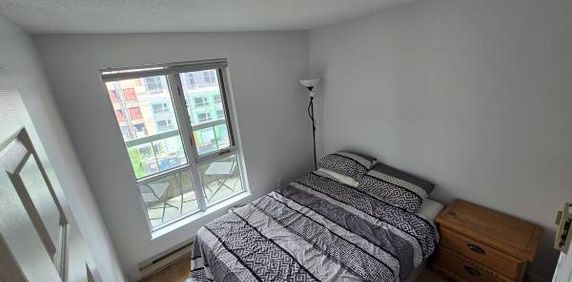 Wonderful 2 bedroom condo between the Glebe and Little Italy! $2,600/m - Photo 2