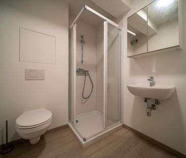 Paul Lebrunstraat 24 / 0003, 3000 Leuven - Photo 6