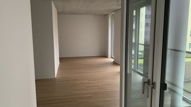 "Moderne Wohnung an ruhiger Lage im Kleinbasel" - Foto 1