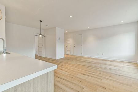 439 Rue Bellevue, app.101, J0T 2C0, J0T 2C0, Saint - Photo 3