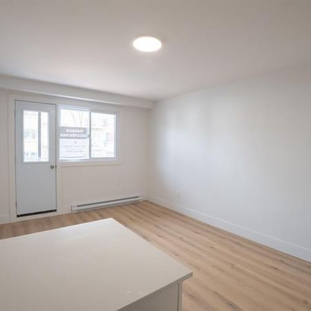 3915 Rue Masson - Photo 3