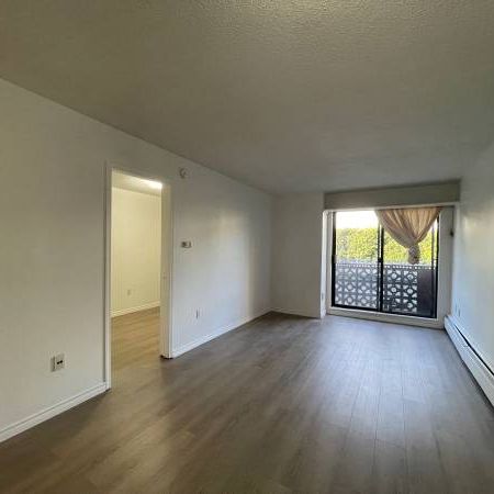 1 Bed 1 Bath - Apartment - Photo 4