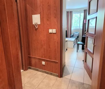 Location Appartement 1 pièce 31m² CANNES 06400 - Photo 4