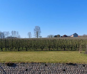 Woning te huur in Attenrode voor € 1.200 met 3 slaapkamers - Photo 5