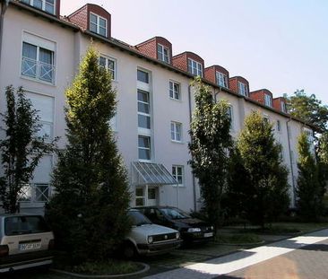 Aufgepasst! Schöne 3 Zimmer Wohnung sofort zu beziehen! - Foto 3