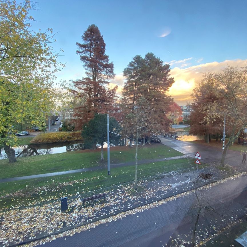 Noordsingel, 3032 BH, Rotterdam - Foto 1