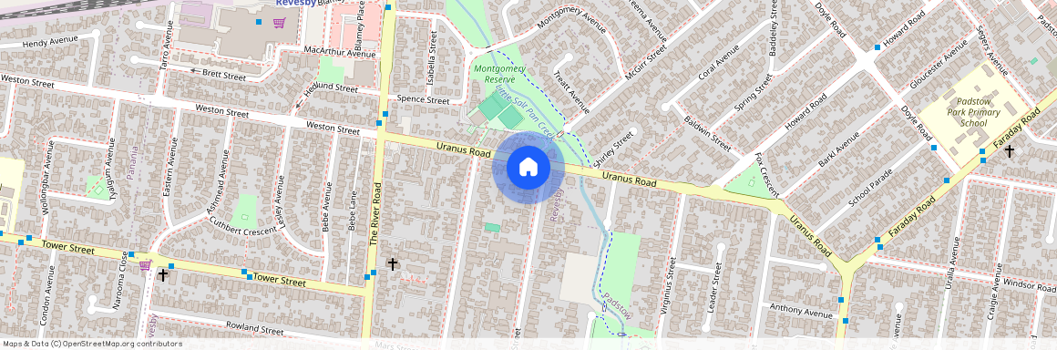 2/4 Hydrae Street, NSW 2212, Revesby