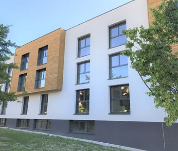 Location Appartement 1 pièce 21m² - Photo 3