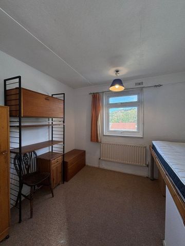 Rushlake Road, Brighton - Photo 4