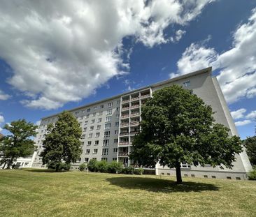 2-Raum-Wohnung - Foto 1