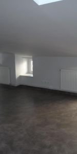 Location Appartement 1 pièce 30m² ST ETIENNE 42100 - Photo 3