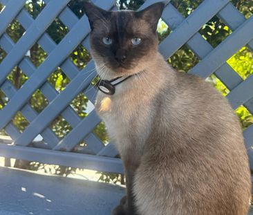 Norman Park - Photo 1