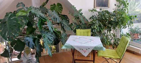 Außergewöhnliche Dachgeschoß-Galerie-Wohnung, ruhig und sonnig, demnächst mit Glas-Lift - Foto 3