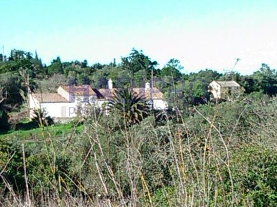 Moradia T3 - Photo 1