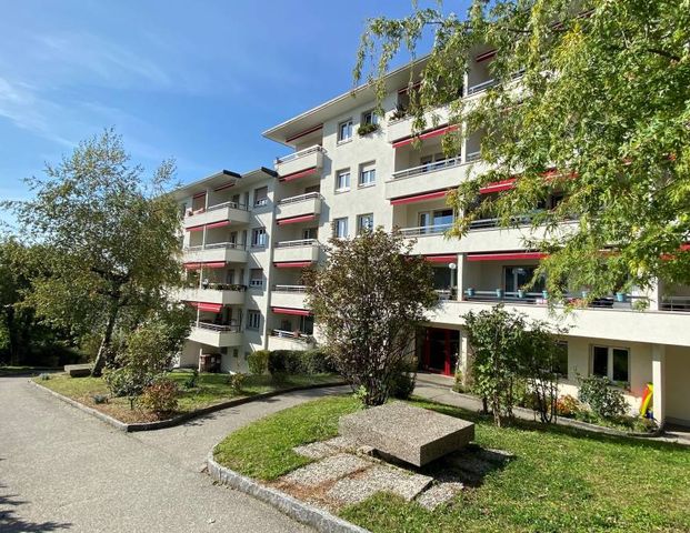 Charmant appartement de 2.5 pièces au 3ème étage - Photo 1