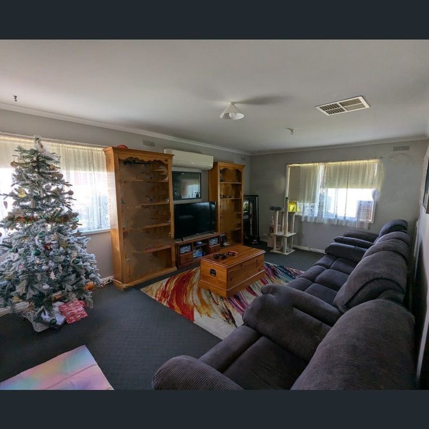 Court Living with Large Shed - Photo 1