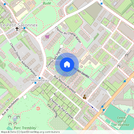 Rue Maurice-Braillard 32, Nations